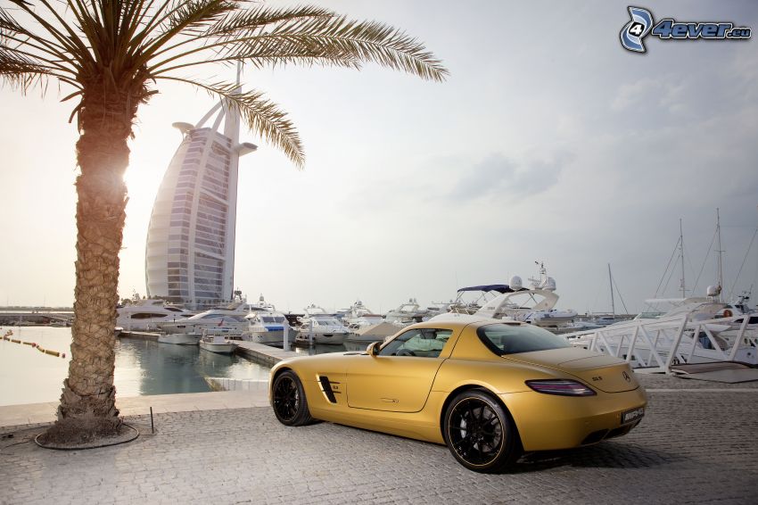 Mercedes-Benz S600, Burj Al Arab, United Arab Emirates, palm tree, harbor