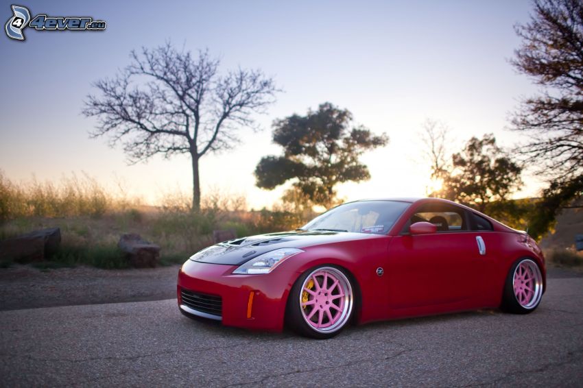 Nissan 350Z, silhouettes of the trees
