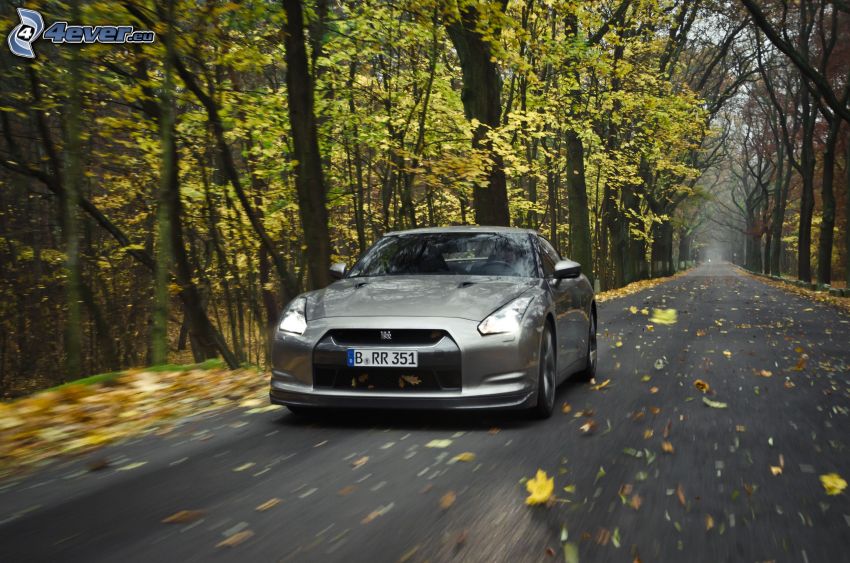 Nissan GT-R, road through forest, autumn leaves