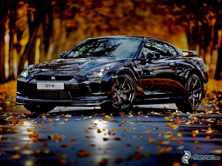 Nissan Skyline GT-R R35, autumn leaves