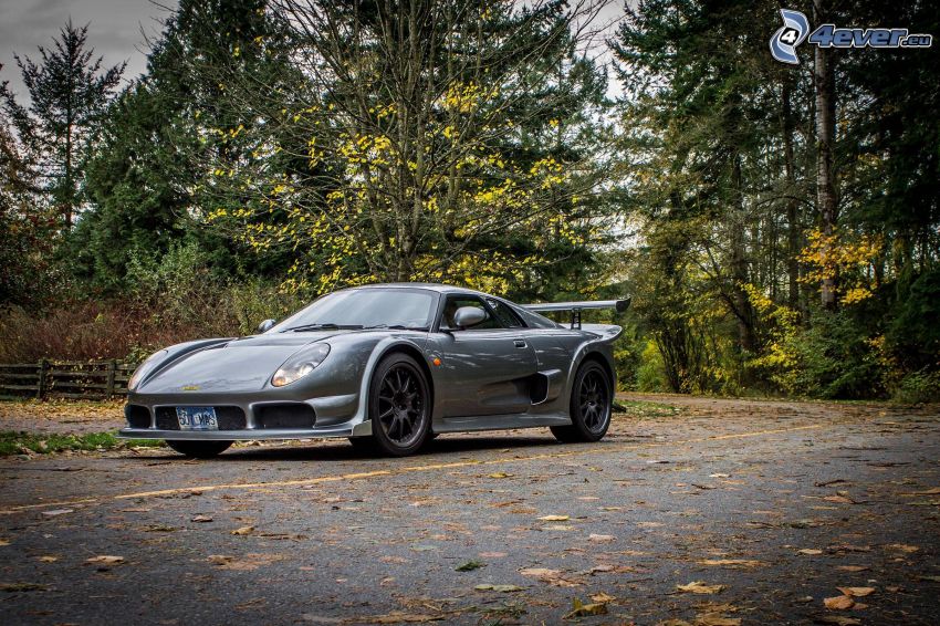 Noble M15, road, forest