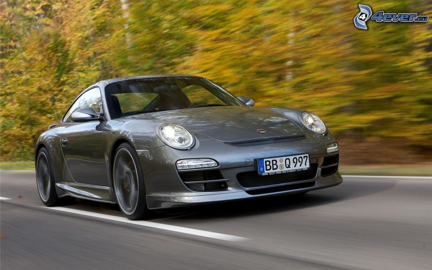 Porsche 911, road, speed, autumn landscape