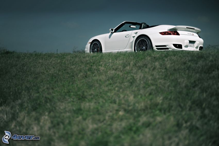 Porsche 911 Turbo S, convertible, grass