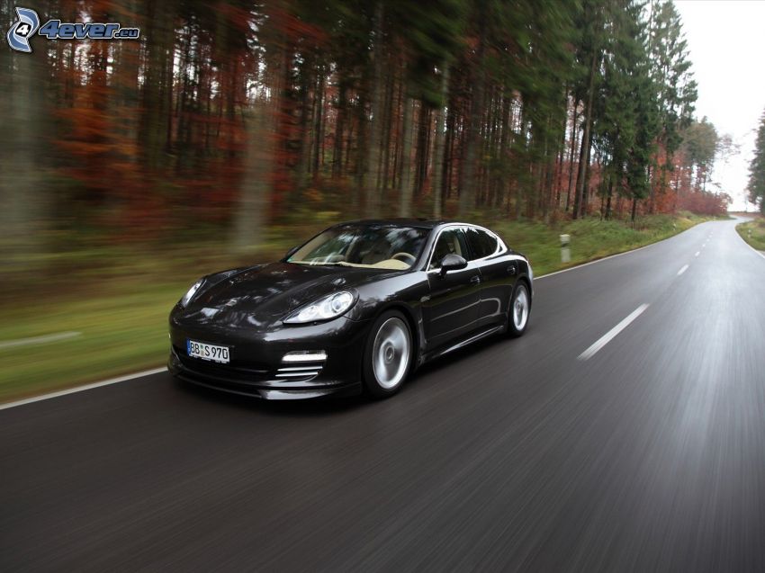 Porsche Panamera, speed, road through forest
