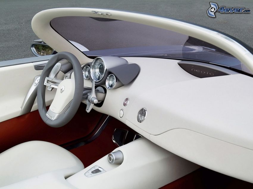 Renault Nepta, interior, dashboard, steering wheel