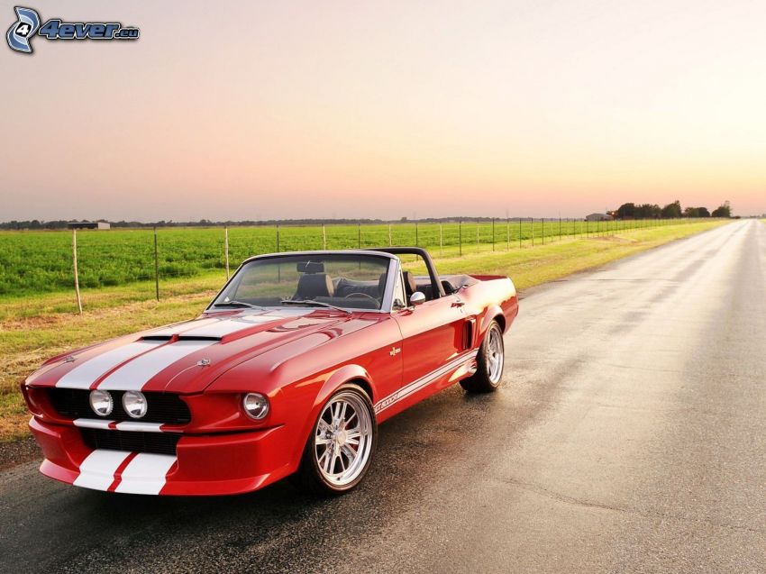 Shelby GT500CR, convertible, road, meadow