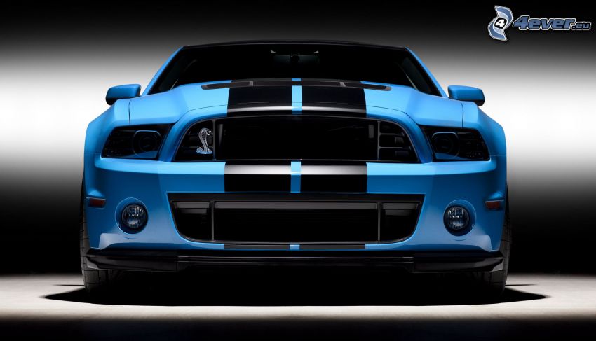 Shelby GT500CR, front grille