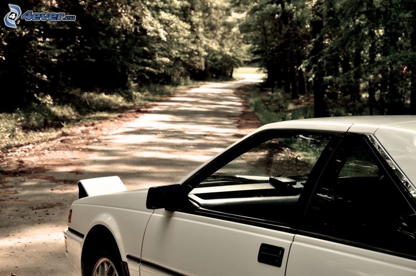 Toyota AE86, road through forest
