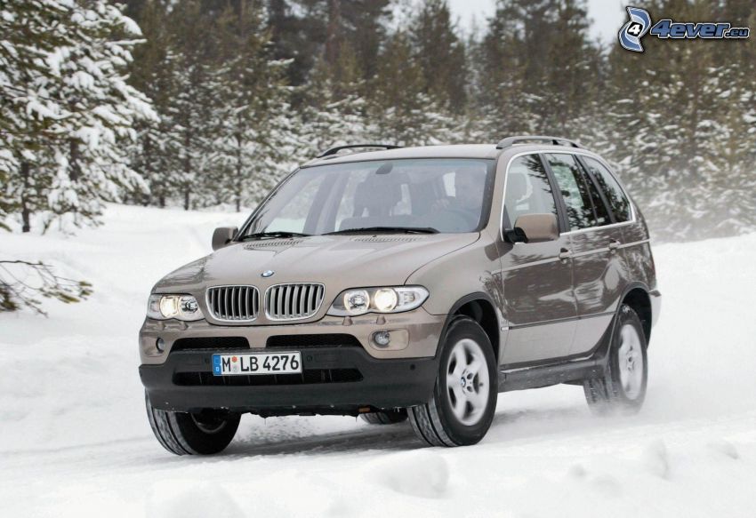 BMW X5, snow