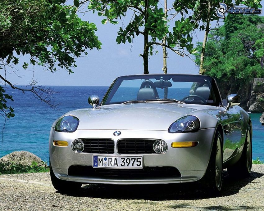 BMW Z8, convertible, sea