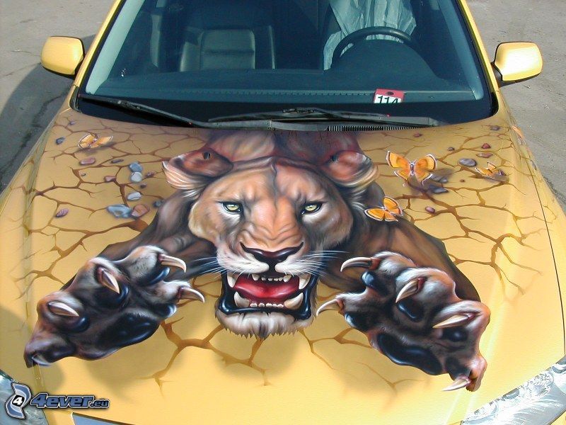 car hood, tiger