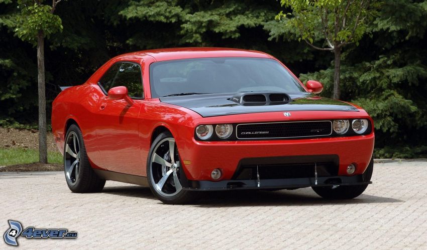 Dodge Challenger, pavement