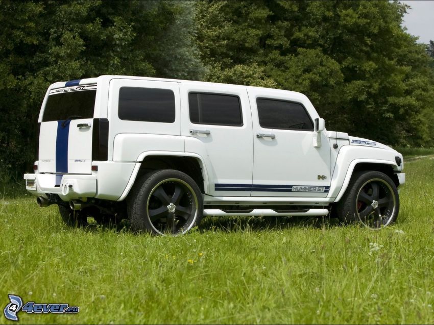 Hummer H3, meadow, forest