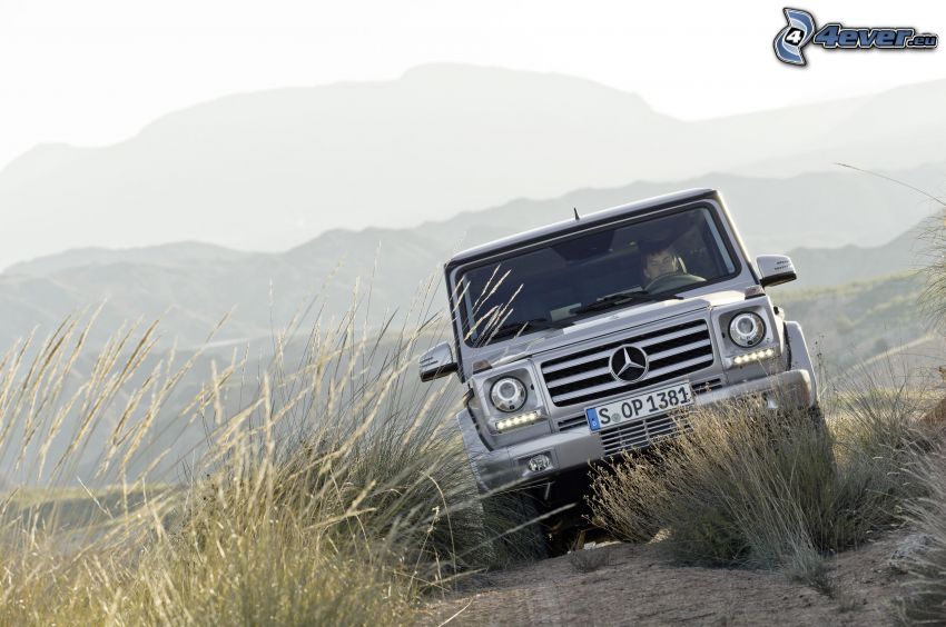 Mercedes-Benz G, high grass, terrain