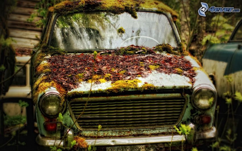 old car, autumn leaves