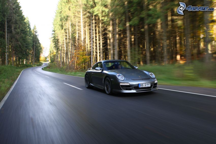 Porsche 911, speed, road through forest