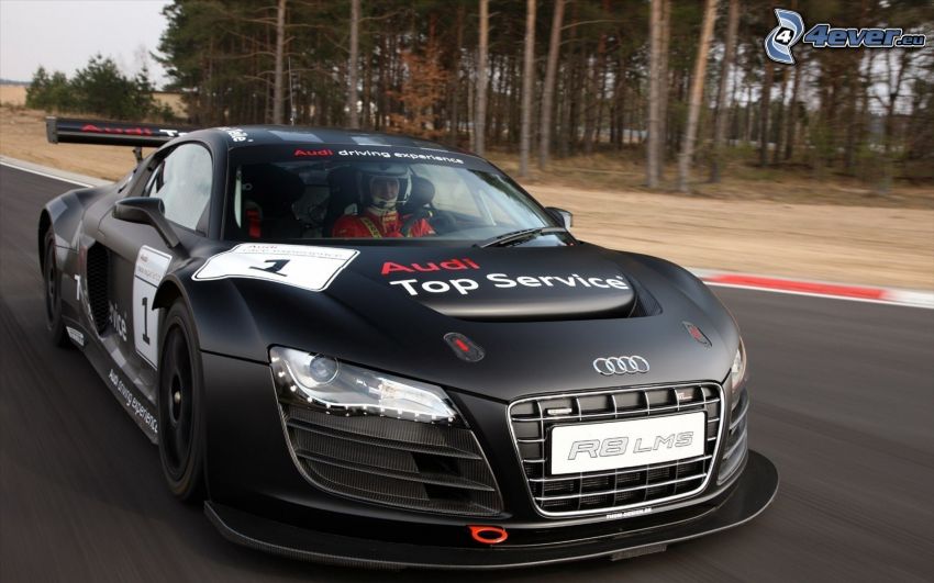 Audi R8, forest