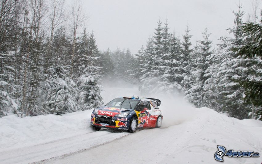 Citroën DS3, racing car, snowy forest