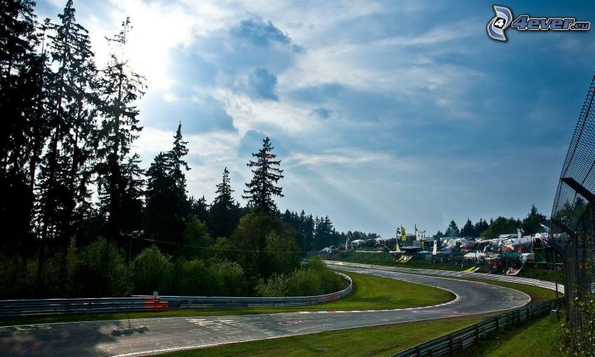 racing circuit, trees