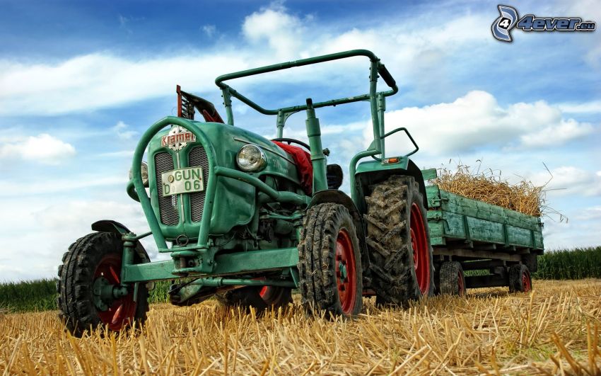 tractor on field, grain, harvest