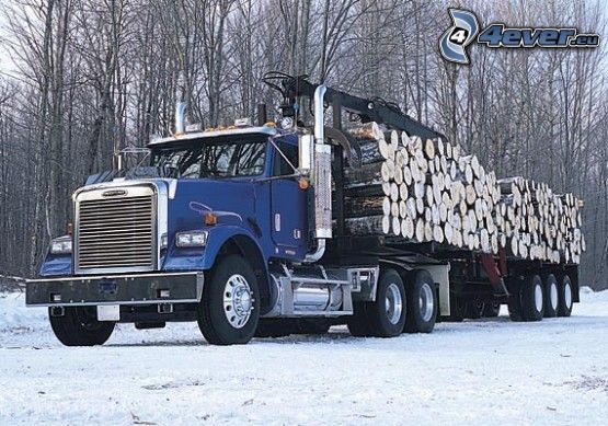 truck, winter