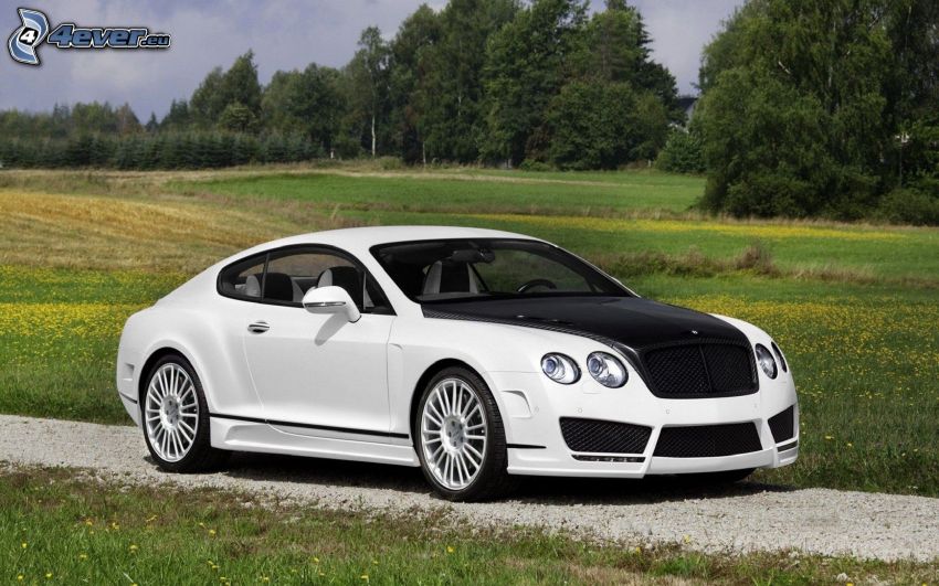 Bentley Continental, tuning, path, meadow, trees