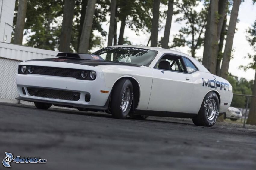 Dodge Challenger, Muscle Car