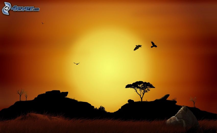 Africa, horizon silhouette