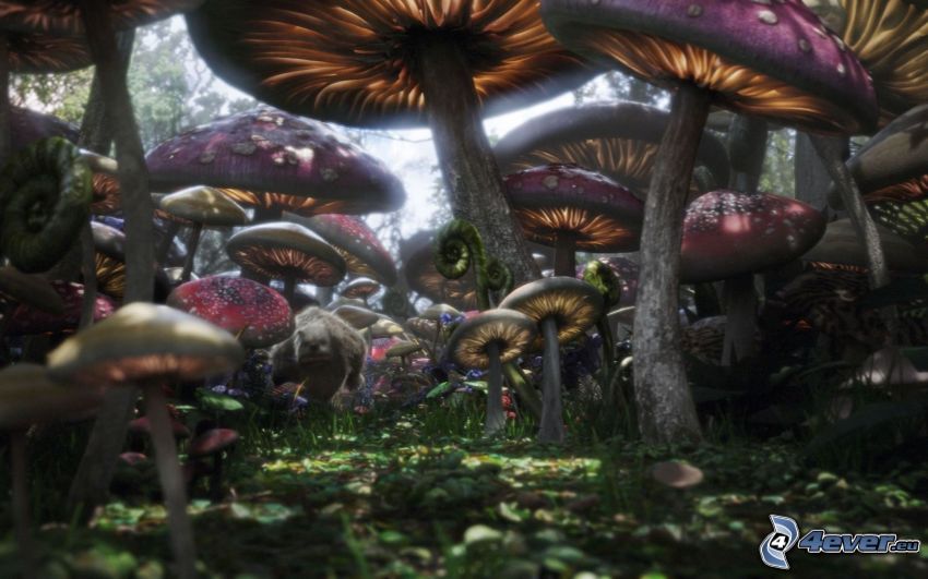 Alice in Wonderland, mushrooms