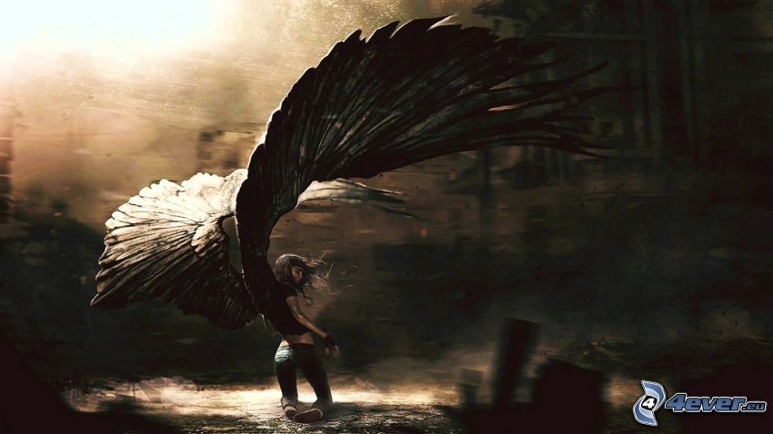 angel, black wings