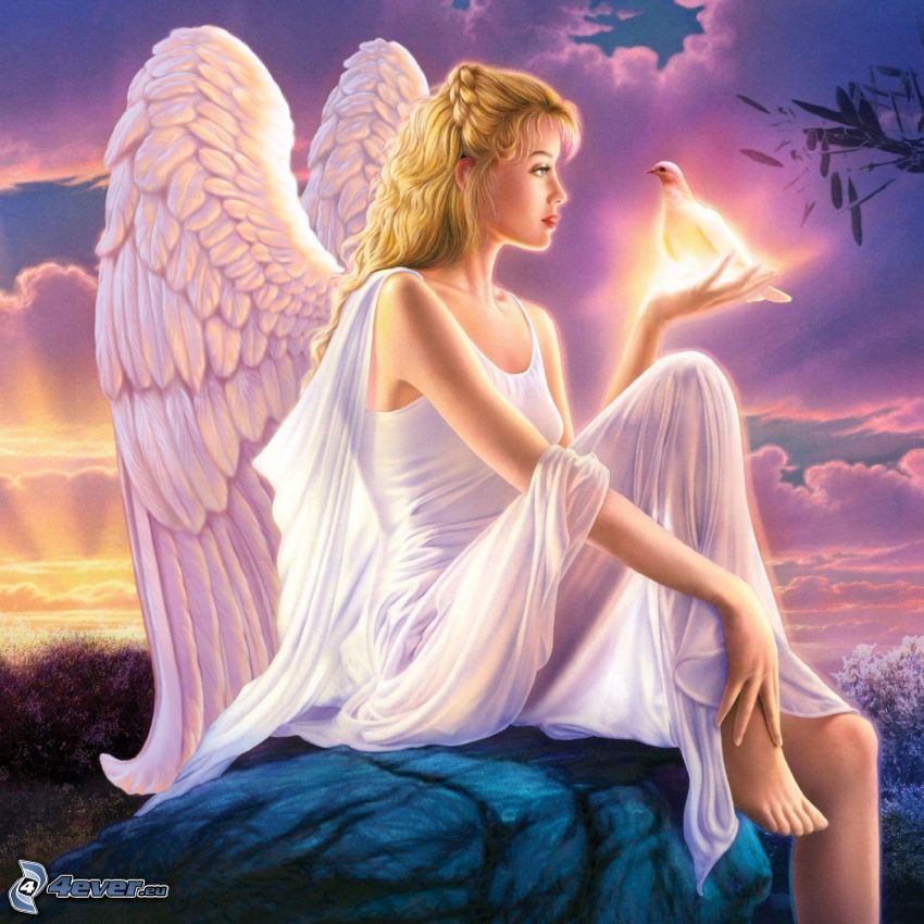 angel, dove, white dress, wings