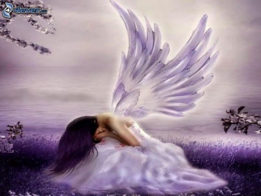 angel, purple background