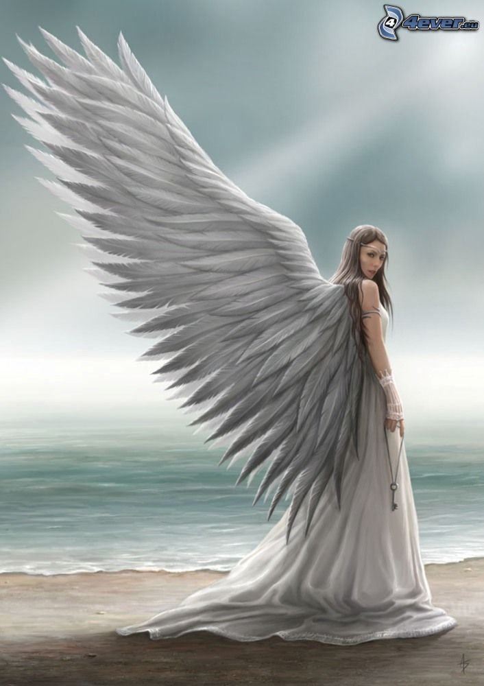 angel, wings, sea