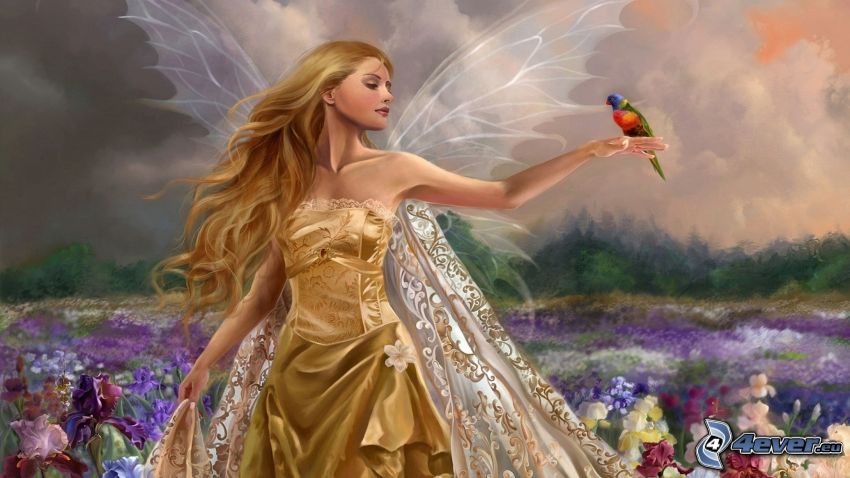 angel, gold dress, colorful bird, meadow
