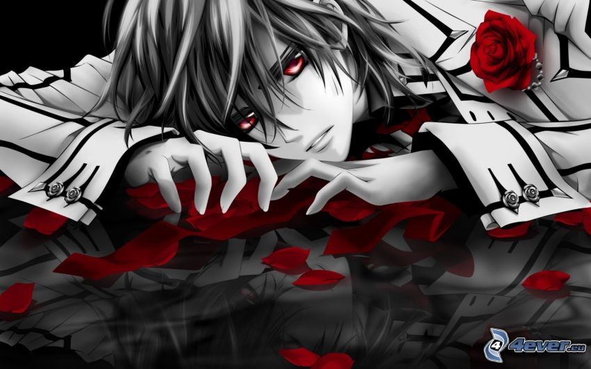 anime boy, rose, rose petals