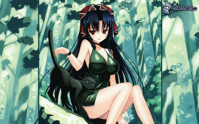 anime girl, black cat