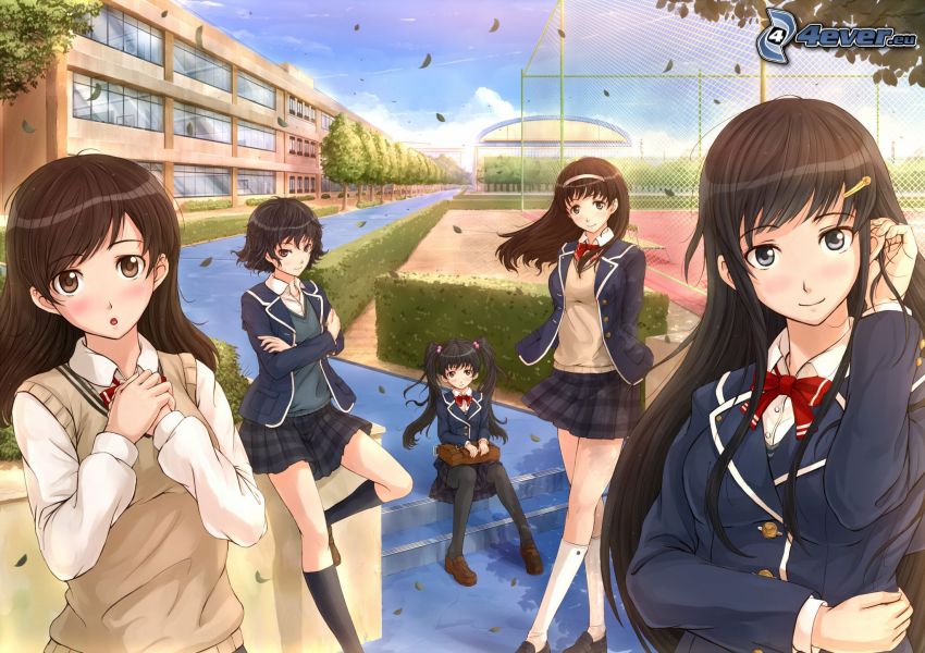 anime girls, school