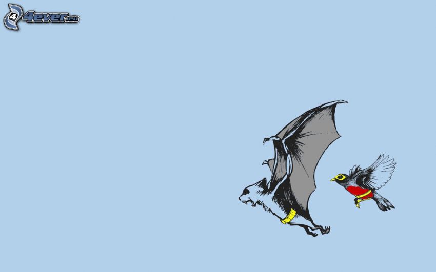 bat, bird, flight