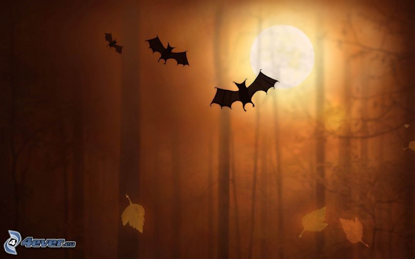 bats, autumn forest, moon