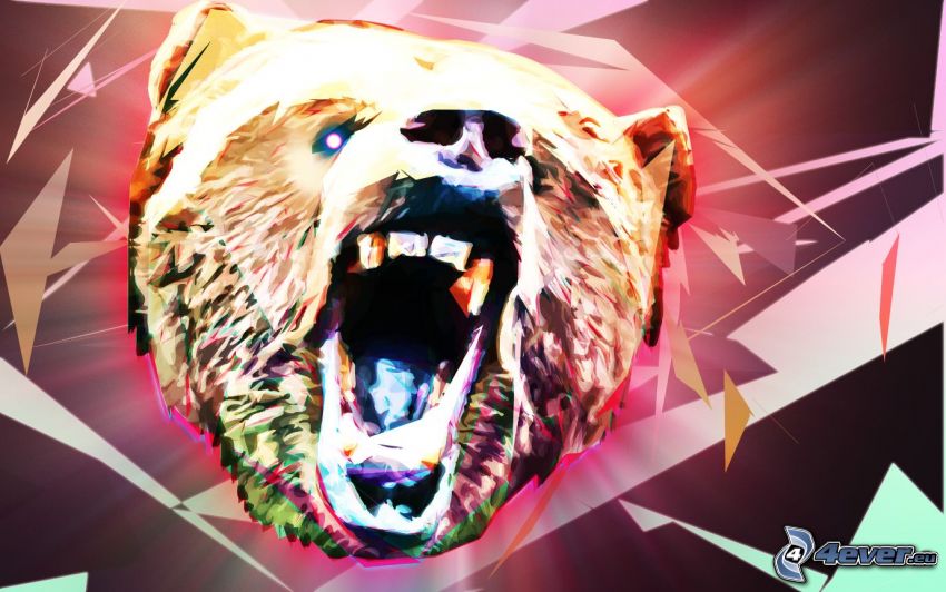 bear, scream