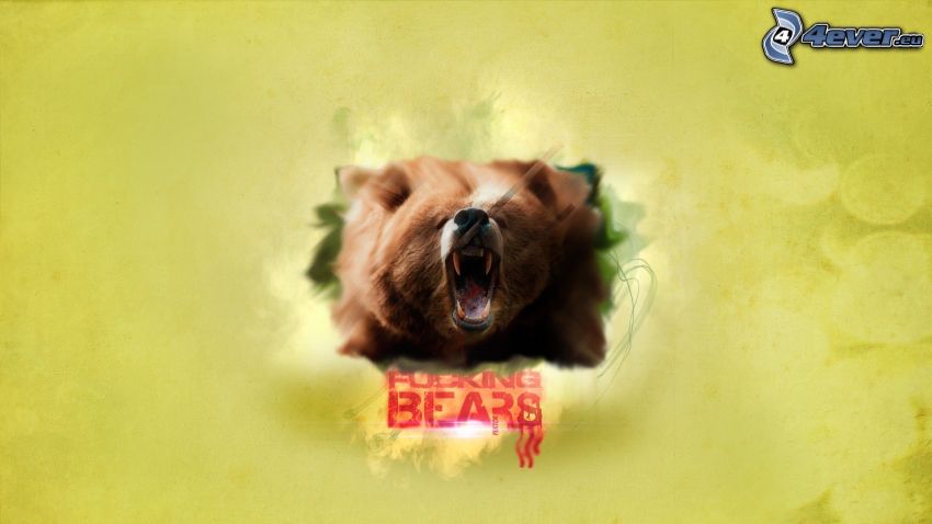 brown bear, scream