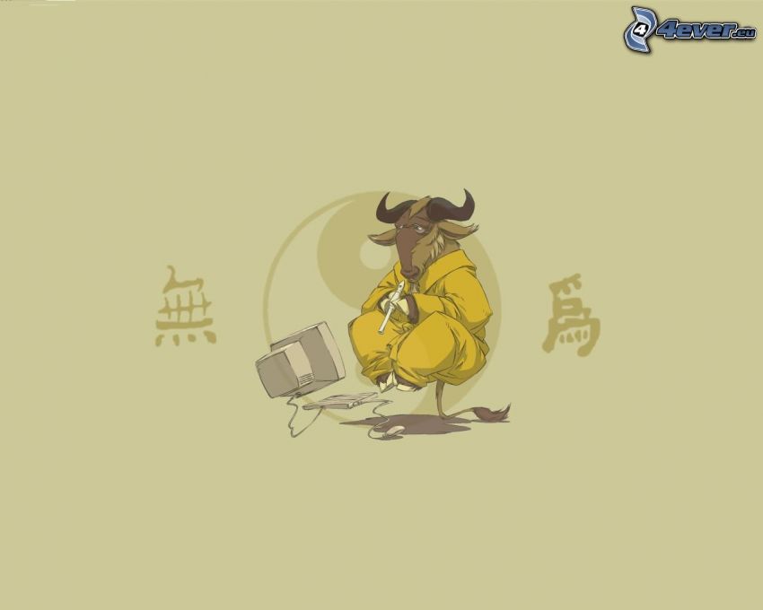 bull, computer, the monk