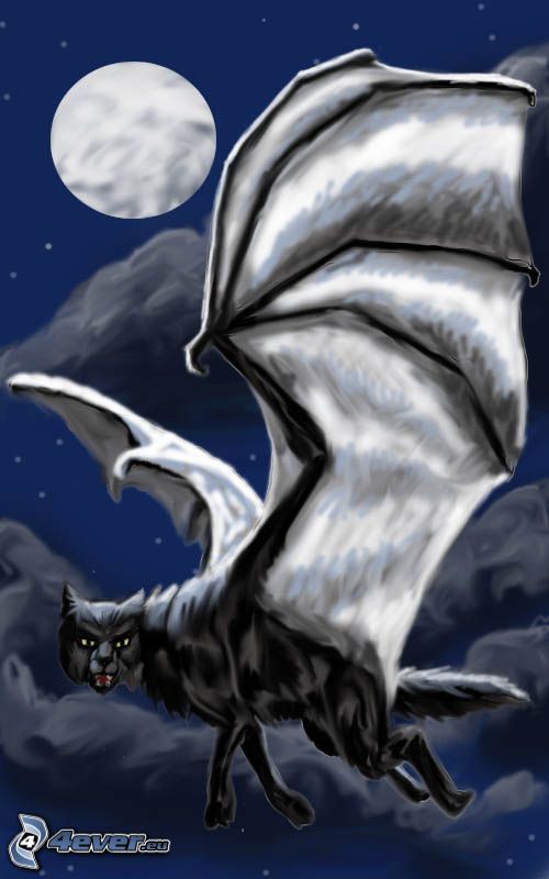 cartoon cat, bat wings