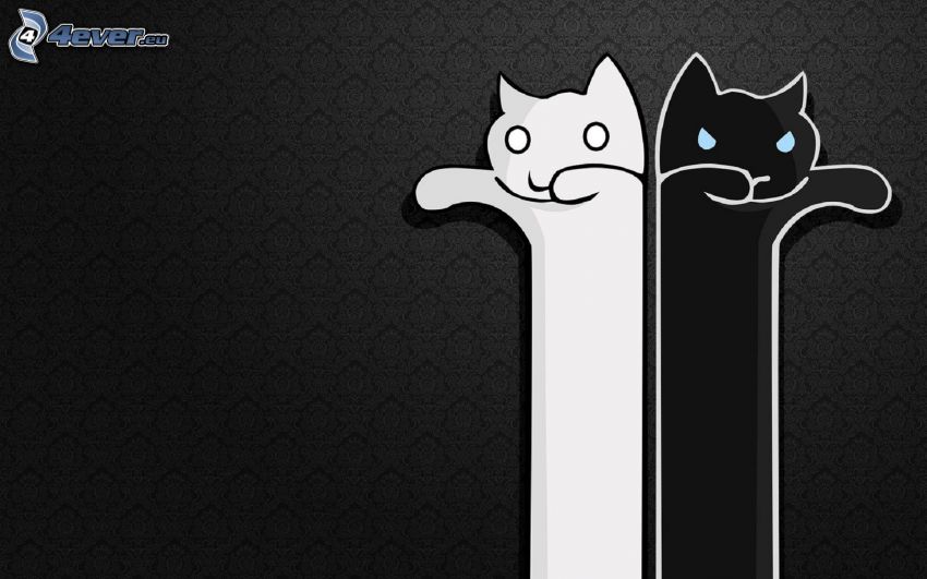 cartoon cats, white cat, black cat, long cat