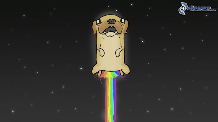 cartoon dog, starry sky