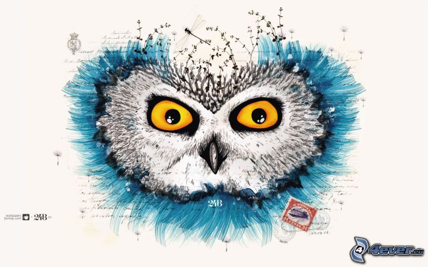 cartoon owl, eyes