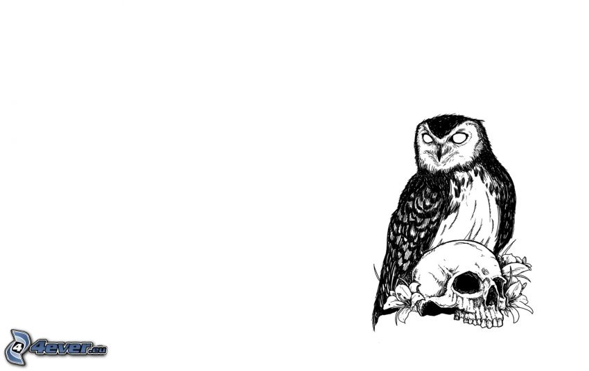 cartoon owl, skull