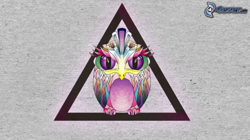 cartoon owl, triangle