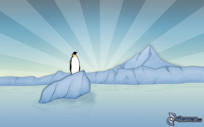 cartoon penguin, glacier