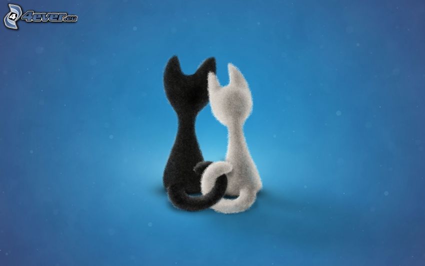 cats, black and white, blue background